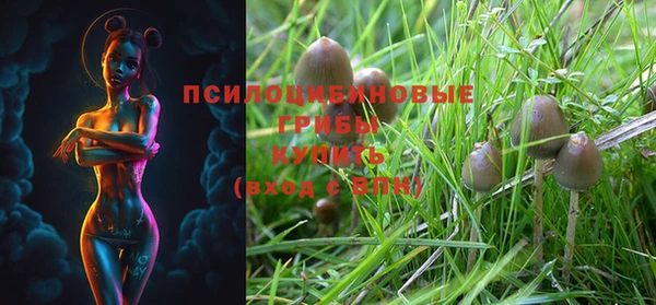 PSILOCYBIN Верхний Тагил